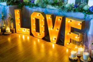 Neon LED “LOVE” wedding sign perfect for Energy Corridor celebrations.